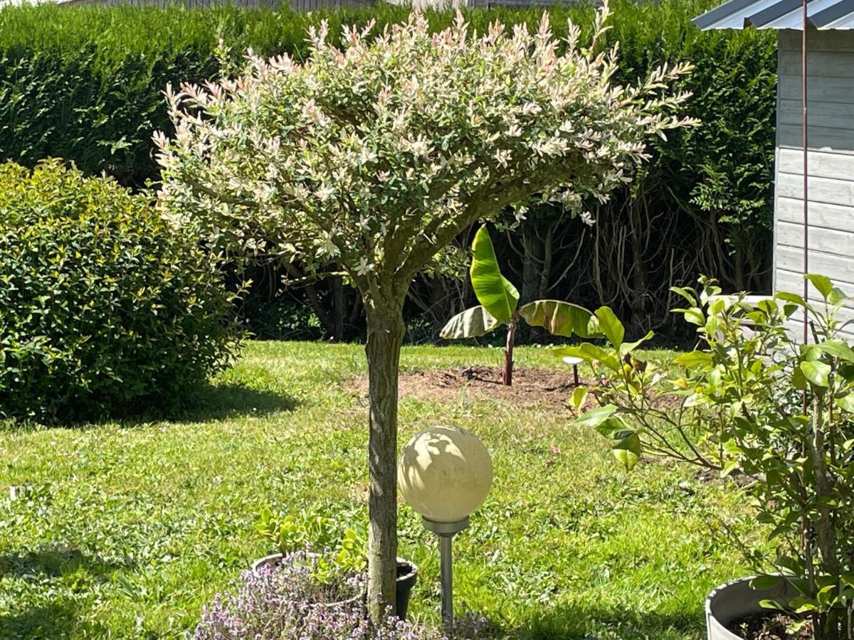 Le Doux Refuge Bed & Breakfast Esquay-sur-Seulles Bagian luar foto